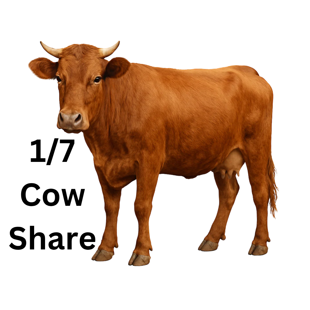 Eid Qurban